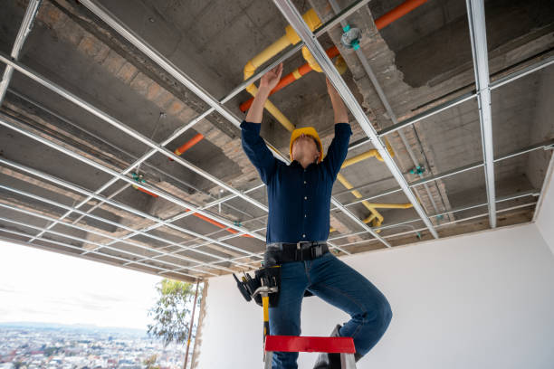 Best Toilet Repair Services  in Ormond Beach, FL